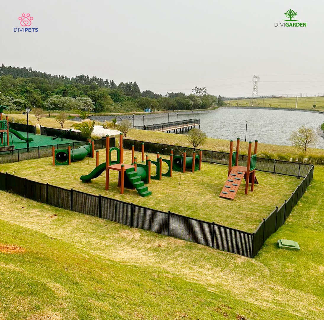 WhatsApp Image 2025-04-23 at 11.56